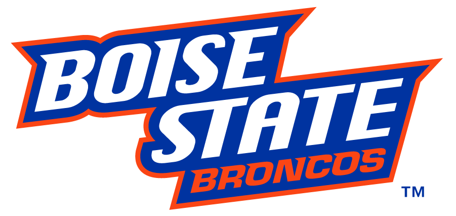 Boise State Broncos 2012-2013 Wordmark Logo v3 diy iron on heat transfer